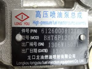 中国重汽豪沃汽车零配件喷油泵Vg1560080302
